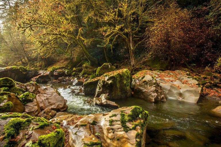 Refuting the CZARA Disapproval