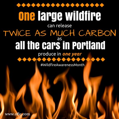One large wildfire can release twice as much carbon as all the cars in the Portland metro region produce in a year