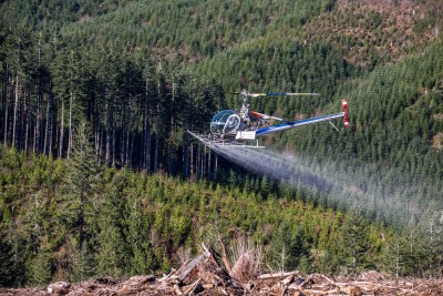Western Helicopter applying herbicides on unit of land owned by Starker Forests. 