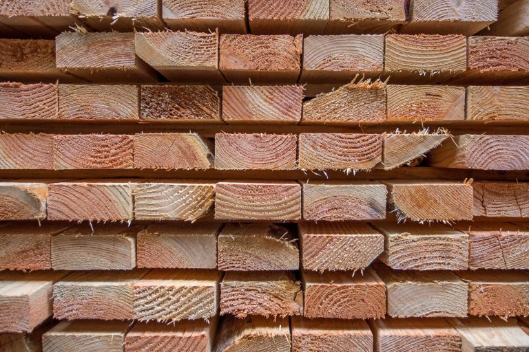 Oregon Timber Tax Q&A with Todd Payne